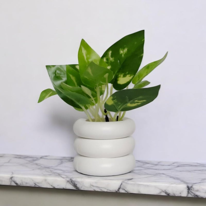Flora Planet Artificial Plants for Home Decor | Realistic Looking | Home Decor Items | Durable Plastic | Wall Decoration Items for Living Room | Dimensions: 6 cm X 12 cm (Green) - Image 2