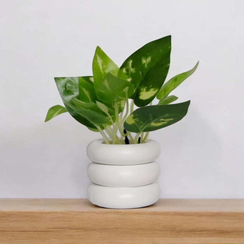Flora Planet Artificial Plants for Home Decor | Realistic Looking | Home Decor Items | Durable Plastic | Wall Decoration Items for Living Room | Dimensions: 6 cm X 12 cm (Green) - Image 4