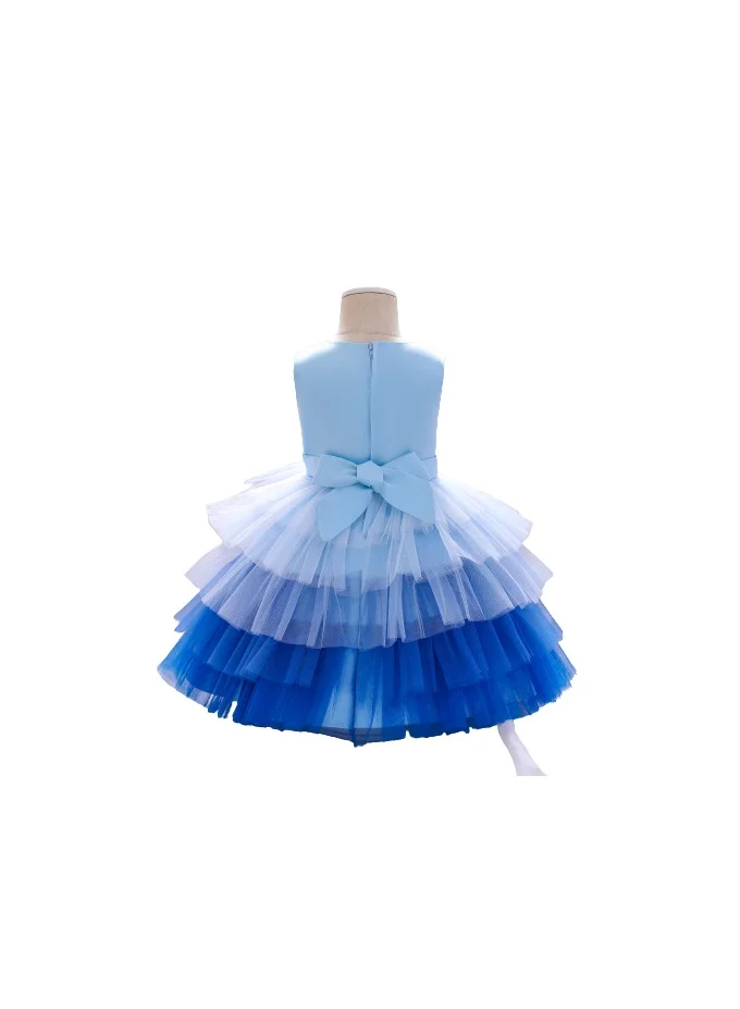 D'Daniela Ombre Tulle Dress