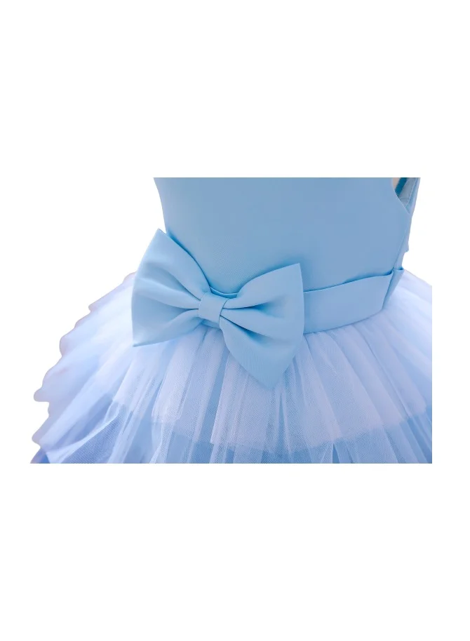 D'Daniela Ombre Tulle Dress