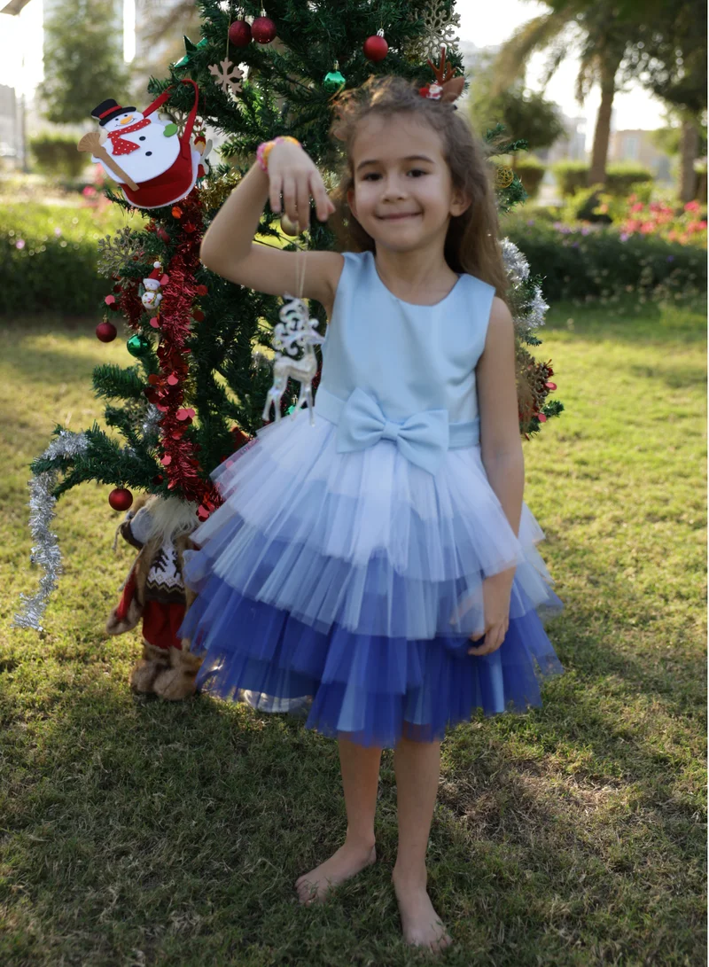 D'Daniela Ombre Tulle Dress