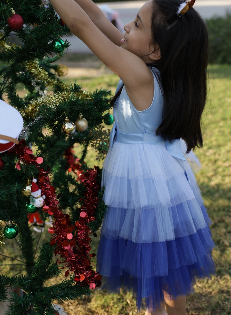 D'Daniela Ombre Tulle Dress - Image 4