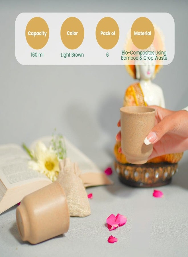 Pacing Grass Chai Cup Set of 6 Tea Kullads Microwave Safe Reusable Bamboo, 160ml, Eco-Friendly Bamboo Bio-Composite Cup for Serving Tea, Hot & Cold Coffee Marriage Gifts for Wedding - Image 4