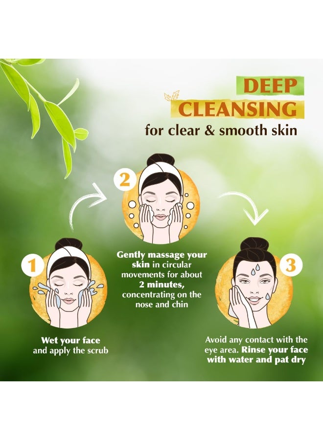 إيفريوث مقشر الجوز والمشمش المرطب والمقشر من إيفريوث ناتشورالز | يزيل الرؤوس السوداء ويرطب | بجزيئات قشر الجوز والمشمش | للبشرة الدهنية والجافة والعادية والمختلطة والحساسة - 100 غرام - Image 5