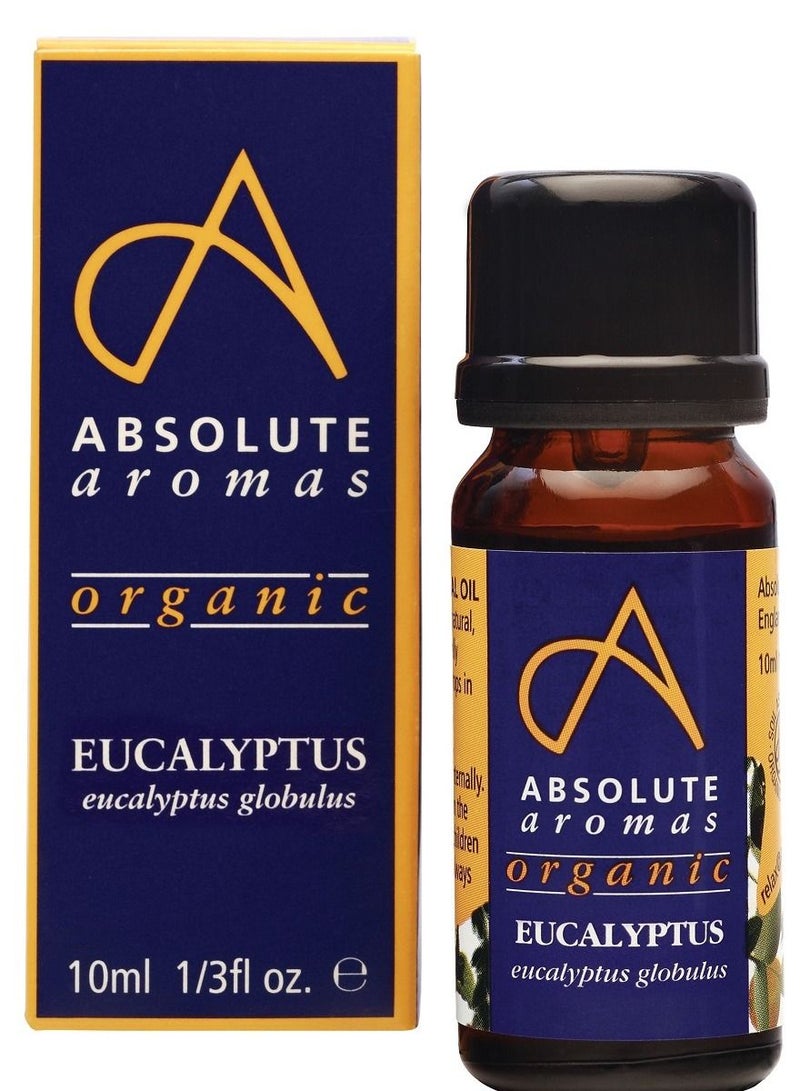 Absolute Aromas Eucalyptus Organic Pure Essential Oil 10ml - Image 1