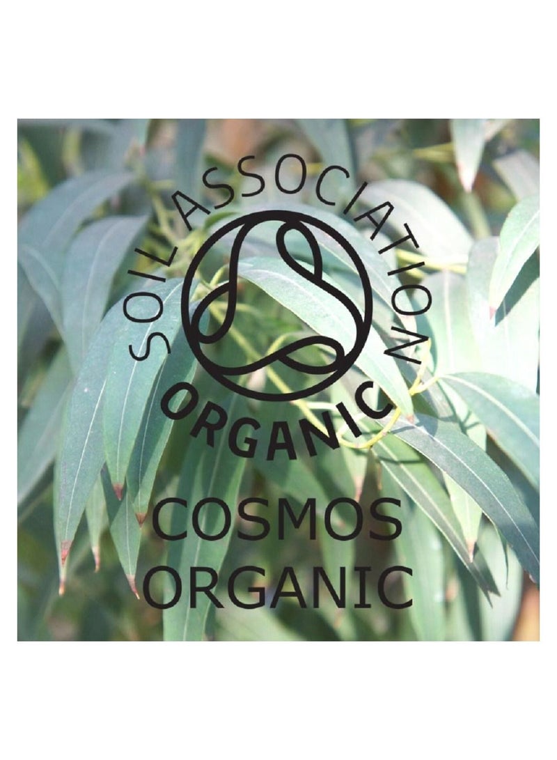 Absolute Aromas Eucalyptus Organic Pure Essential Oil 10ml - Image 3