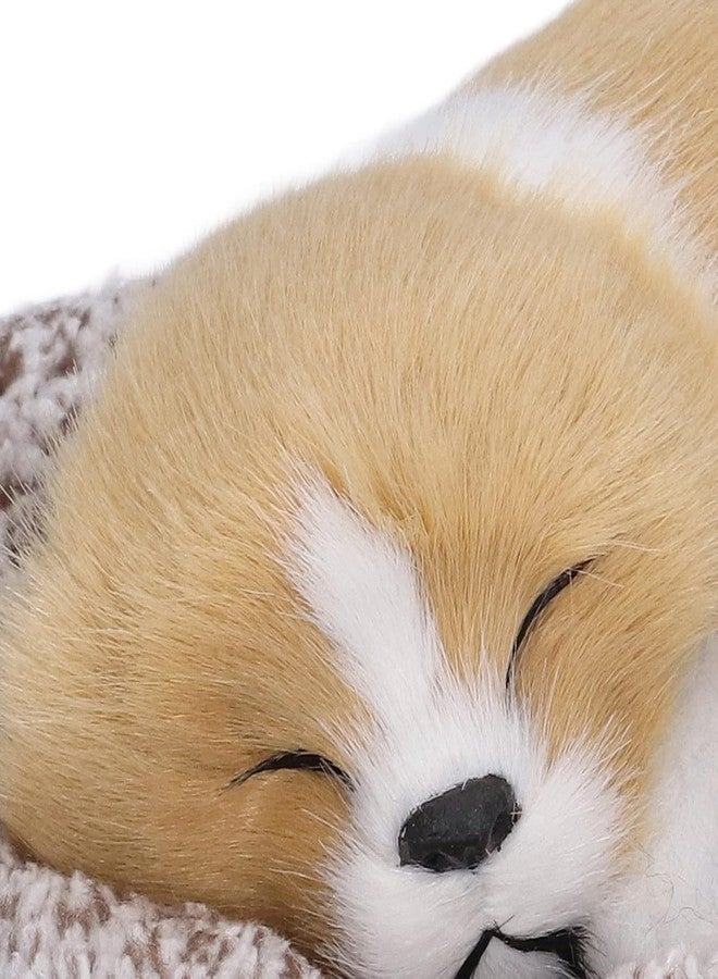 AMOAMI لعبة كلب نائم لطيفة من القطيفة من أموامي، هدية ناعمة للأطفال، إكسسوارات لوحة القيادة للسيارة (متعددة الألوان) 1 - Image 5