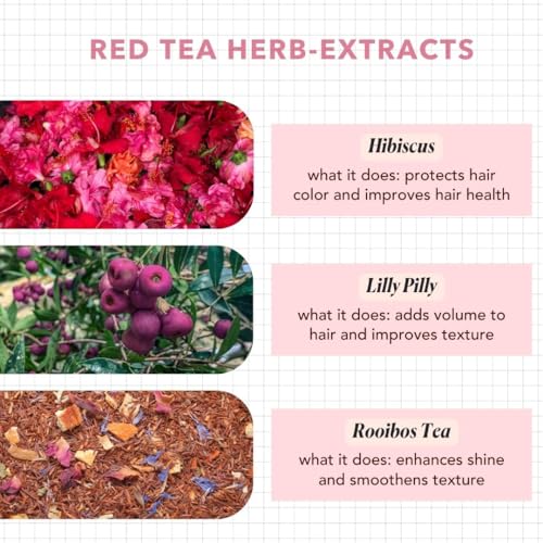 paradyes Red Roobios Tea Aerosol Hair Perfume For Intense Hydration & Calming Fragrance | Made For All Hair Types | For Men & Women | 100 Ml - Image 5