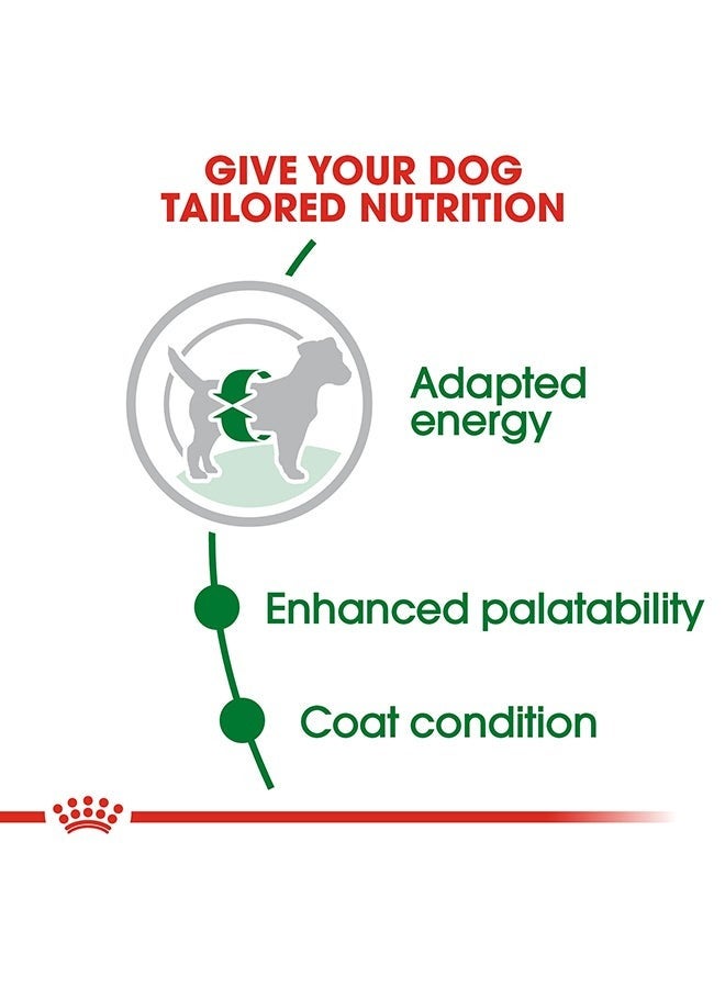 ROYAL CANIN حجم صحة التغذية للبالغين الصغار 800 جرام - Image 4