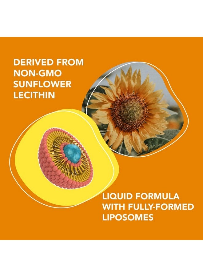 AMANDEAN أمانديان فيتامين سي ليبوسومال 1000 ملغ. مكمل سائل لفيتامين سي. دعم المناعة، صحة الجلد، إنتاج الكولاجين. توصيل سريع لمضادات الأكسدة. كوالي-سي، خالي من الصويا، نباتي، غير معدل وراثيًا. - Image 5