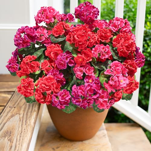 HyeFlora Artificial Geranium Fake Flowers for Outdoors Decoration 6 Bundles Silk Geraniums Flower UV Resistant Look Real Faux Plants for Front Door Garden Porch Planter Patio Balcony Yard Indoor Home Mix - Image 1