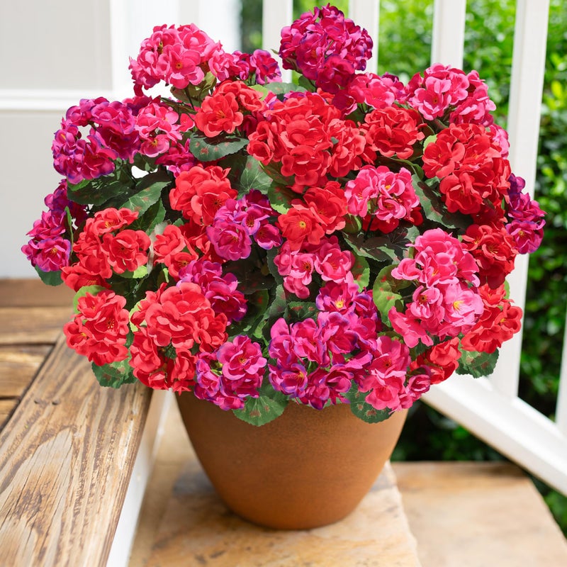 HyeFlora Artificial Geranium Fake Flowers for Outdoors Decoration 6 Bundles Silk Geraniums Flower UV Resistant Look Real Faux Plants for Front Door Garden Porch Planter Patio Balcony Yard Indoor Home Mix - Image 2