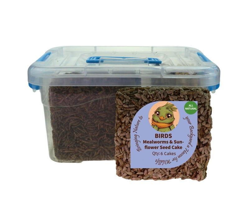 BIRDADDY Wild Bird Mealworms & Sunflower Seeds Suet Cakes, High Protein Feed, Pack of 6, Size 4.5"x4.5"x1.0" Poultry Feed, Cattle Feed (4.5"x4.5"x1.0", Mealworms & Sunflower Seeds) - Image 3