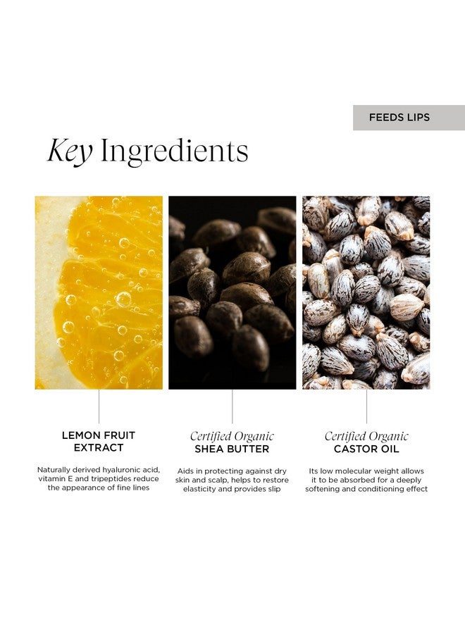 Intelligent Nutrients OneBody Lip Delivery Nutrition Balm, Antioxidant-Rich Lip Treatment Nourishes, Protects, and Perfects, for All Skin Types, Vegan, 0.3 Oz - Image 4