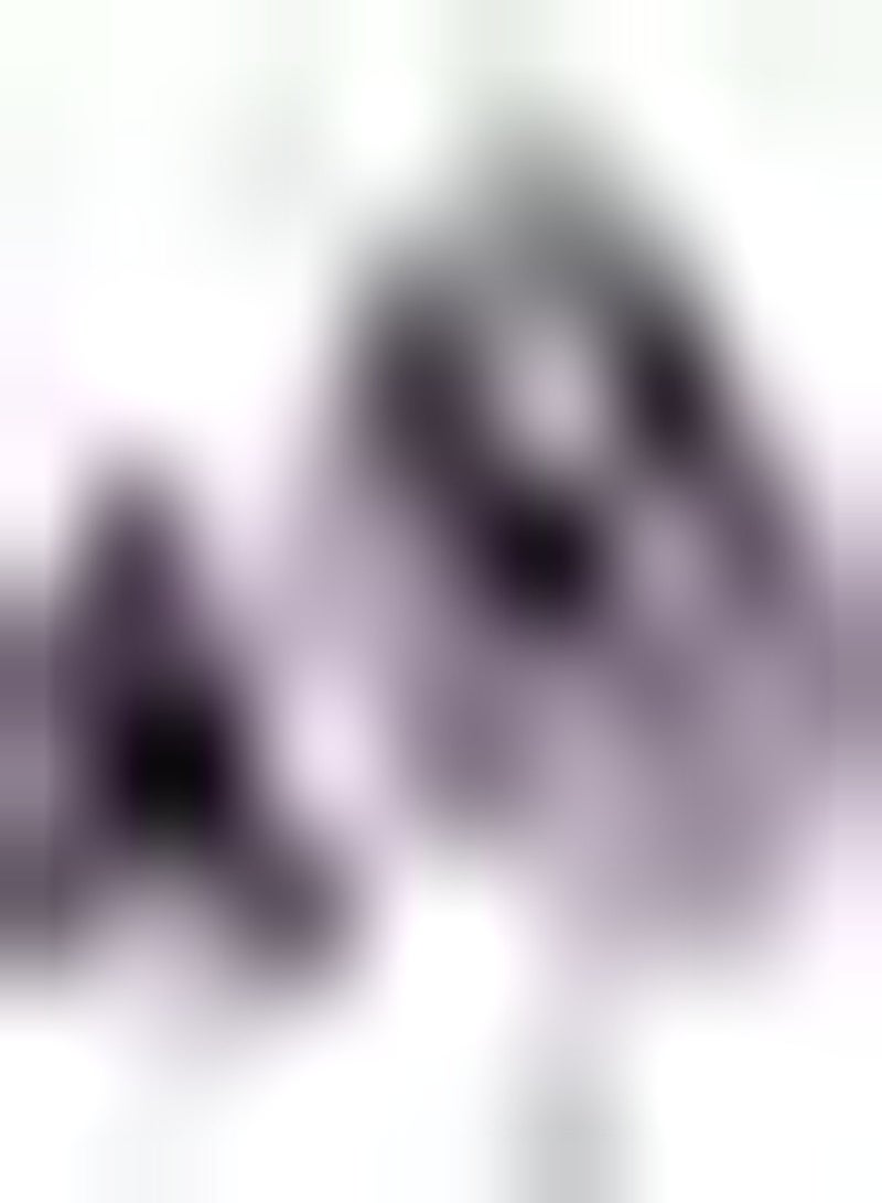 GGOOT 5pcs Alliumbollen met gemengde kleuren Zeldzame soorten Unieke vorm Geniet Van EEN prachtig tuinlandschap Hoge overlevingsgraad Eenvoudig onderhoud - Image 1