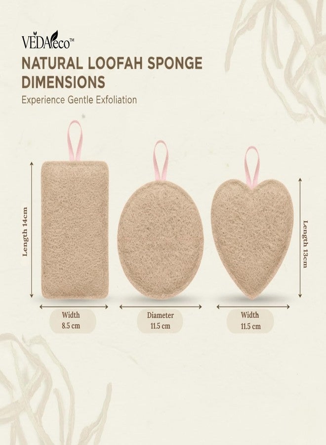 VEDAeco 100% Natural Sun Dried Loofah - Set Pack of 3 Scrub For Bathing, Gentle Exfoliating Loofah, Organic Soft Smooth & Glowing Skin - Image 3