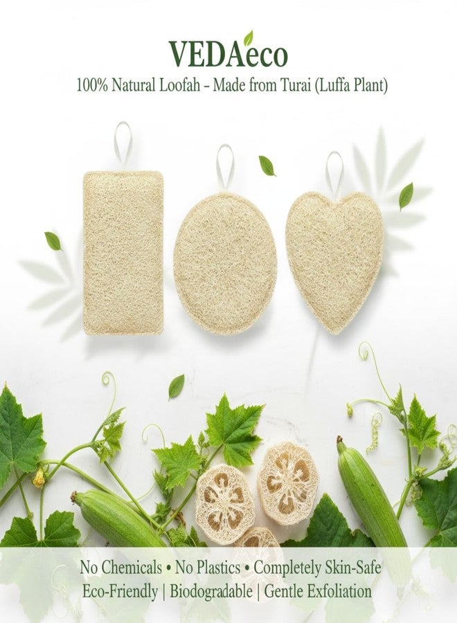 VEDAeco 100% Natural Sun Dried Loofah - Set Pack of 3 Scrub For Bathing, Gentle Exfoliating Loofah, Organic Soft Smooth & Glowing Skin - Image 2