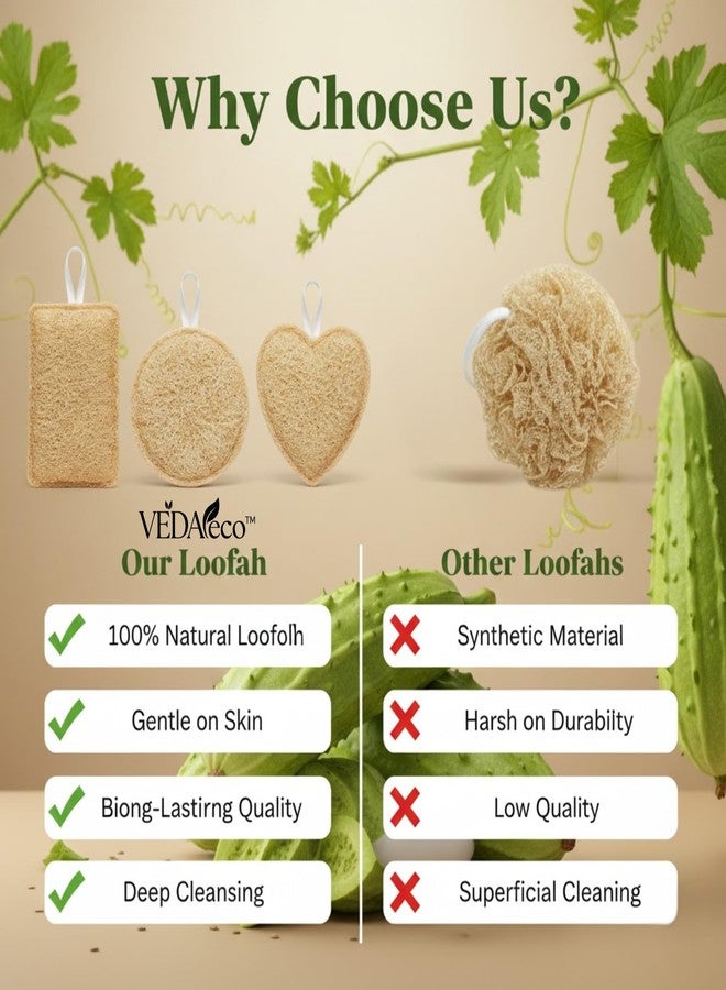 VEDAeco 100% Natural Sun Dried Loofah - Set Pack of 3 Scrub For Bathing, Gentle Exfoliating Loofah, Organic Soft Smooth & Glowing Skin - Image 4