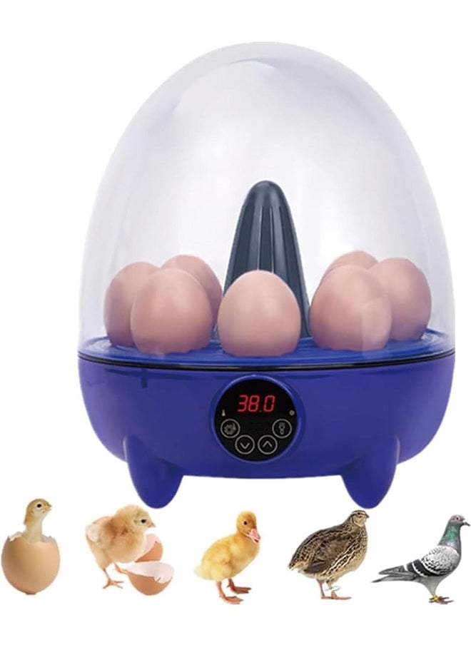 Generic - Egg Incubator, 8 Eggs Poultry Hatcher with Humidity Temperature Control, Mini Chicken Incubator 360 View Poultry Incubator for Hatching Chicks Quail Duck Bird Turkey Eggs(8 Eggs) - Image 1