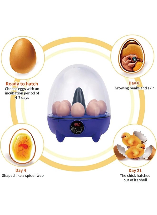 Generic - Egg Incubator, 8 Eggs Poultry Hatcher with Humidity Temperature Control, Mini Chicken Incubator 360 View Poultry Incubator for Hatching Chicks Quail Duck Bird Turkey Eggs(8 Eggs) - Image 1