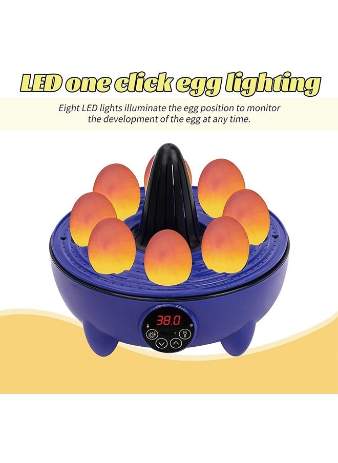 Generic - Egg Incubator, 8 Eggs Poultry Hatcher with Humidity Temperature Control, Mini Chicken Incubator 360 View Poultry Incubator for Hatching Chicks Quail Duck Bird Turkey Eggs(8 Eggs) - Image 1