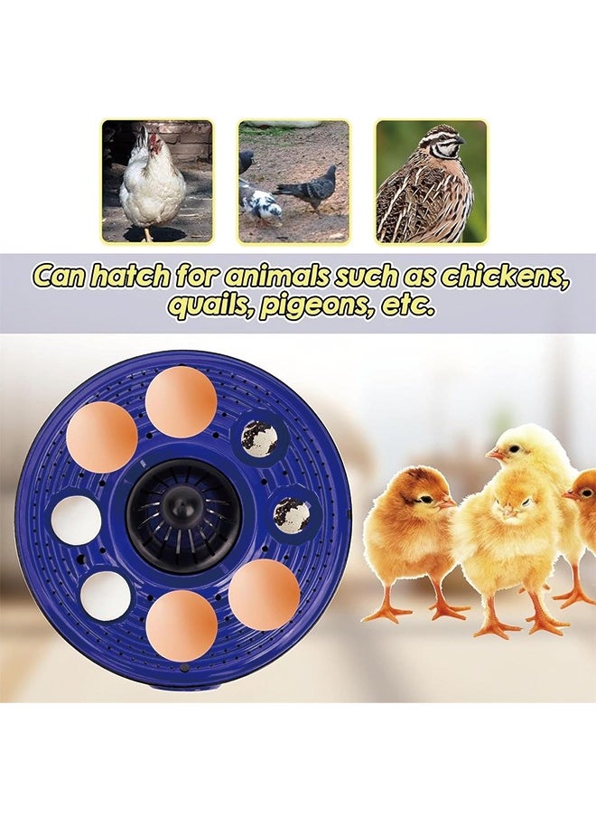 Generic - Egg Incubator, 8 Eggs Poultry Hatcher with Humidity Temperature Control, Mini Chicken Incubator 360 View Poultry Incubator for Hatching Chicks Quail Duck Bird Turkey Eggs(8 Eggs) - Image 1