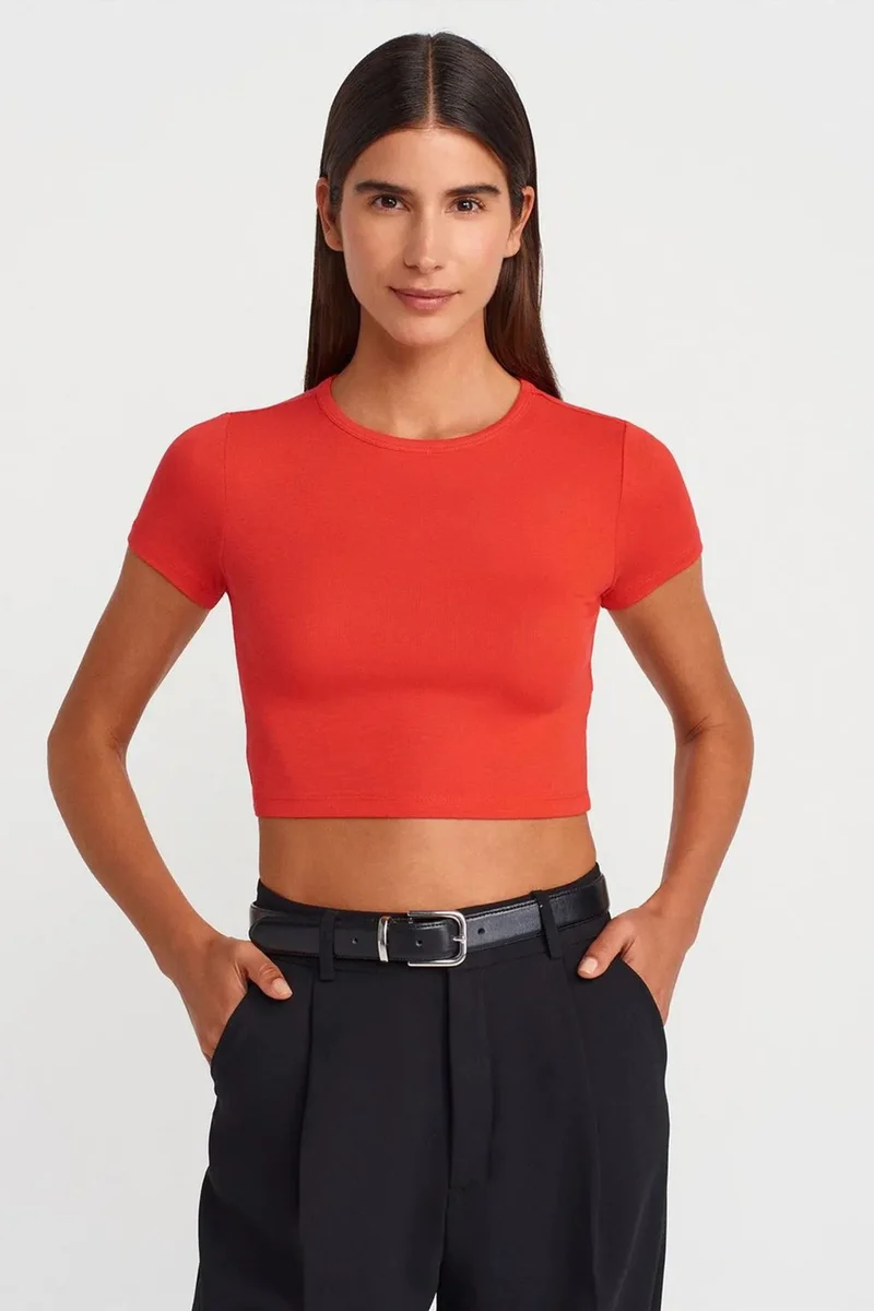 Dilvin Bright Orange DILVIN Women's Crop Slim-Fit Crew Neck T-Shirt for Women | Best Price UAE