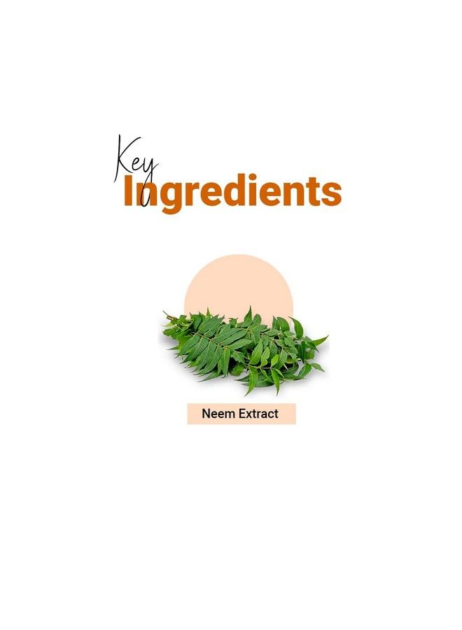 Vedicline Neem & Brahmi Disinfecting Face Wash Helps To Control Excess Oil Acne & Pimple For Refreshed Skin (Pack Of 2) (120 * 2Ml - Image 4