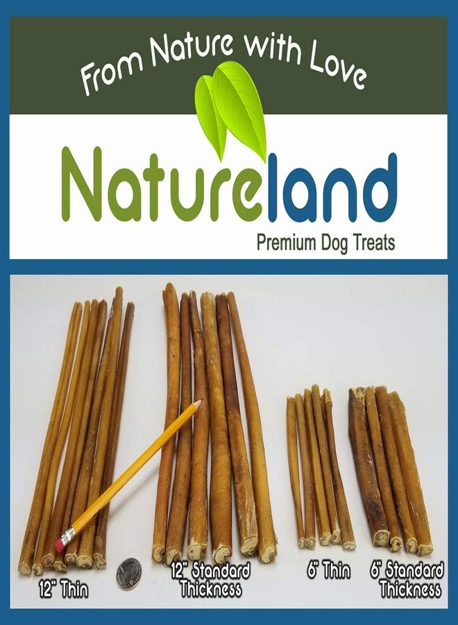 Natureland 12" Bully Sticks Standard Thickness (12" Standard Thickness - 10 Pack) - Image 2