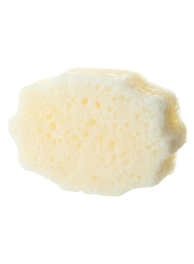 spongelle Pedibuffer Cleanse Exfoliate & Polish Feet Beach Grass - Image 3