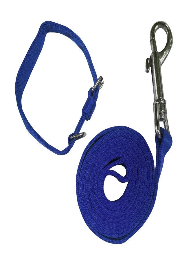 Tailworld Dog Harness | Soft Nylon Harness | Adjustable and Highly Durable Material| Small and Medium All Breeds for Dogs| Easy Control Dog Chest Belt| No More Pulling Or Choking,15 Cm,15 Cm,Blue - Image 1