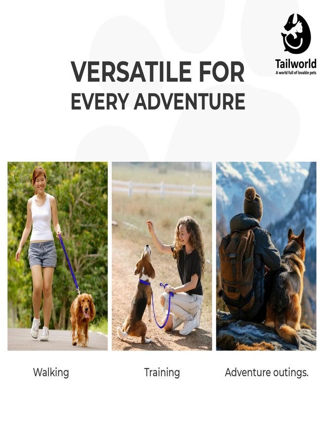 Tailworld Dog Harness | Soft Nylon Harness | Adjustable and Highly Durable Material| Small and Medium All Breeds for Dogs| Easy Control Dog Chest Belt| No More Pulling Or Choking,15 Cm,15 Cm,Blue - Image 4