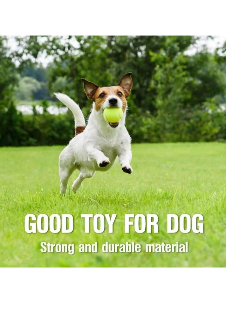Genzy 2 Pack Tennis Balls, Advanced Pressure Training Tennis Balls Practice Balls Tennis Balls for Dogs, Tennis with Bag for Transport, Beginner Exercise Training Ball  - Image 4