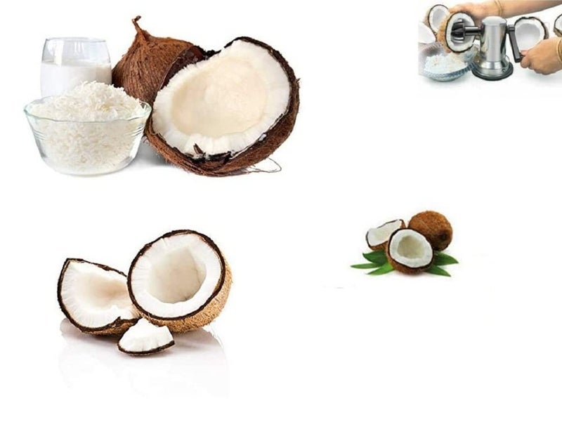 Naivete Stainless Steel Coconut Scraper Medium Silver Colour 1 Piece - Image 3