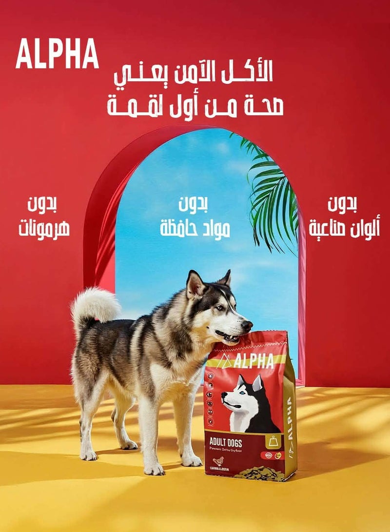 ألفا دراي فود للكلاب البالغة بنكهة الدجاج - 4 كيلو - Image 2