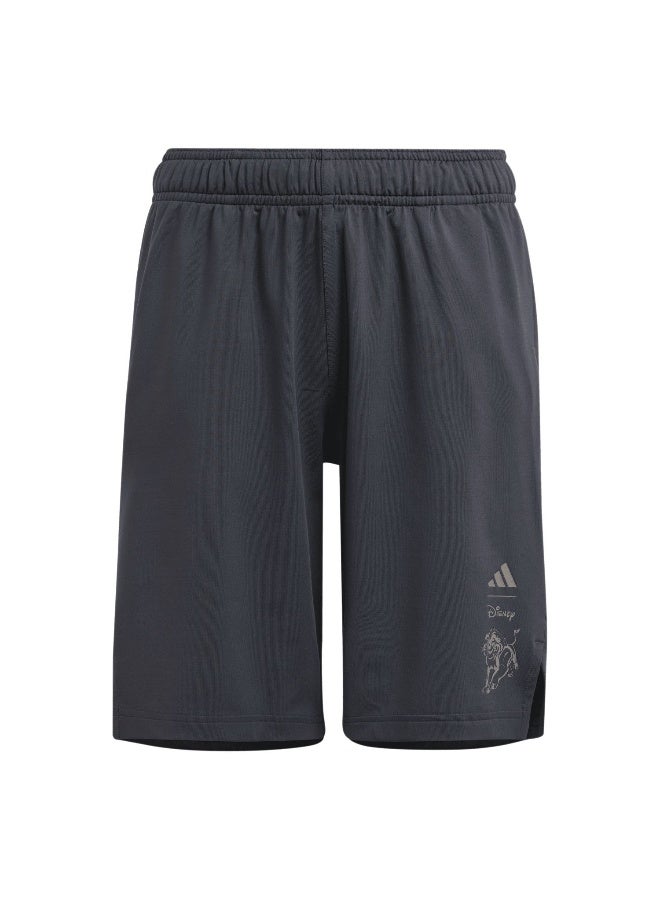 Adidas B Dy Lk Sho Grey Training Shorts 5-6Y  - Image 1
