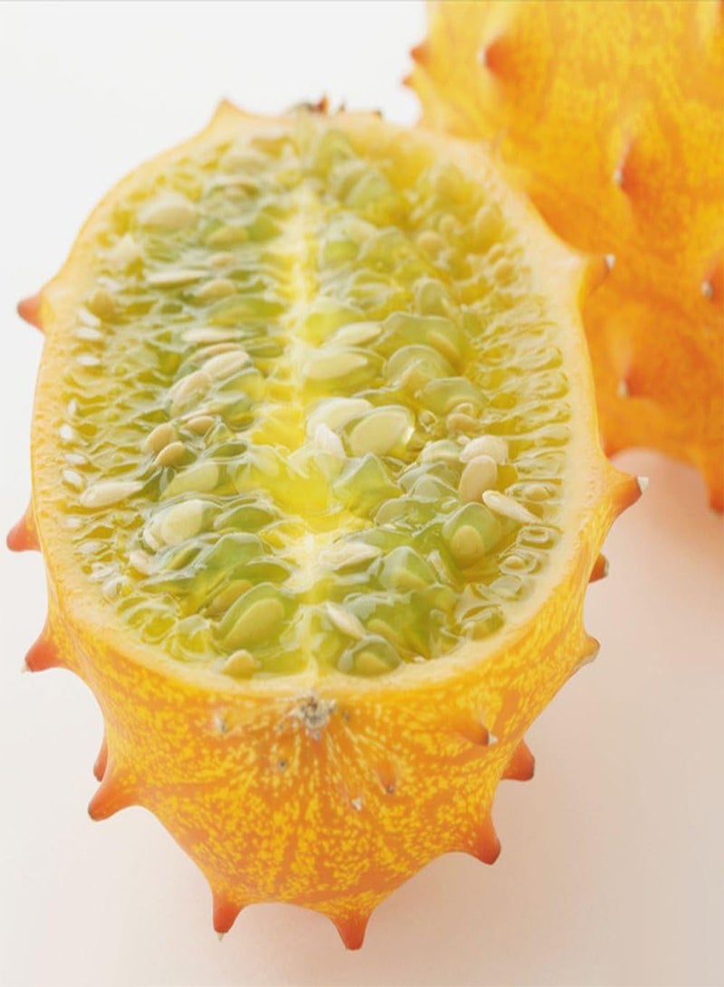 جي جوت 10 قطع من بذور مومورديكا كوشينشينسيس النادرة، نبات حديقة غريب للمنزل - Image 3