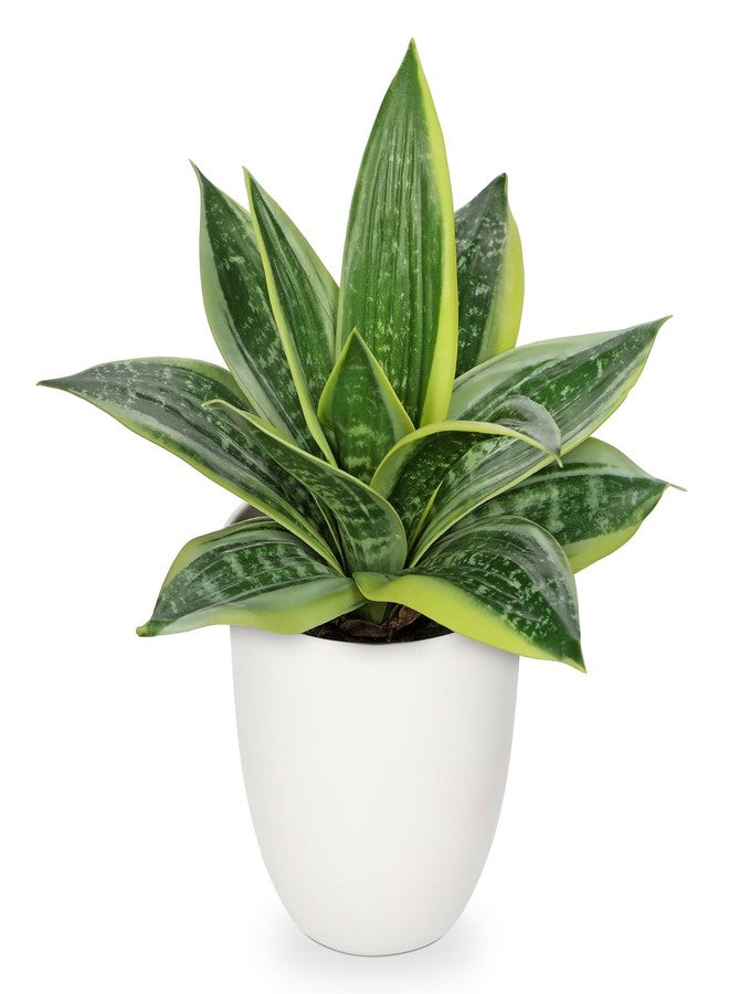 Hollyone Artificial Snake Plants 9" Faux Agave Succulent Plant Potted in White Pot Fake Sansevieria Aloe Tropical Plant for Desk Modern Office Home Bathroom Indoor Outdoor Decor - Image 1