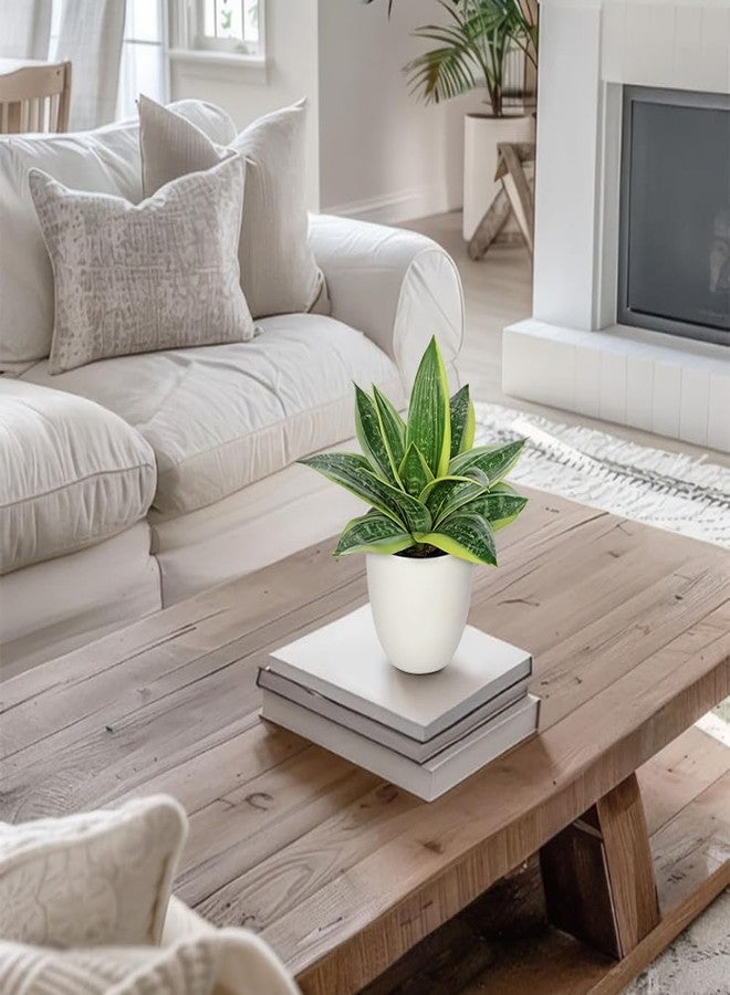 Hollyone Artificial Snake Plants 9" Faux Agave Succulent Plant Potted in White Pot Fake Sansevieria Aloe Tropical Plant for Desk Modern Office Home Bathroom Indoor Outdoor Decor - Image 4