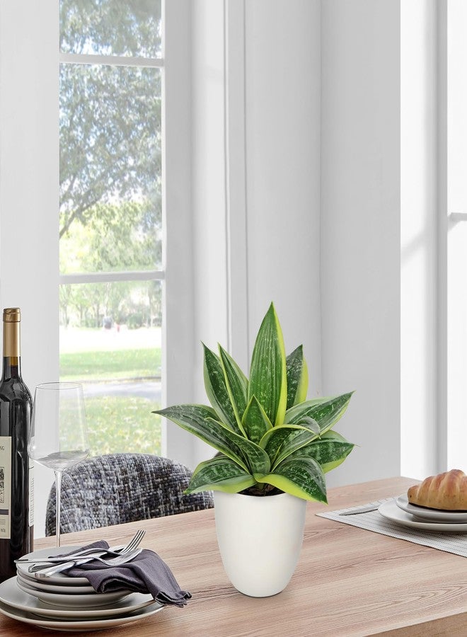 Hollyone Artificial Snake Plants 9" Faux Agave Succulent Plant Potted in White Pot Fake Sansevieria Aloe Tropical Plant for Desk Modern Office Home Bathroom Indoor Outdoor Decor - Image 3