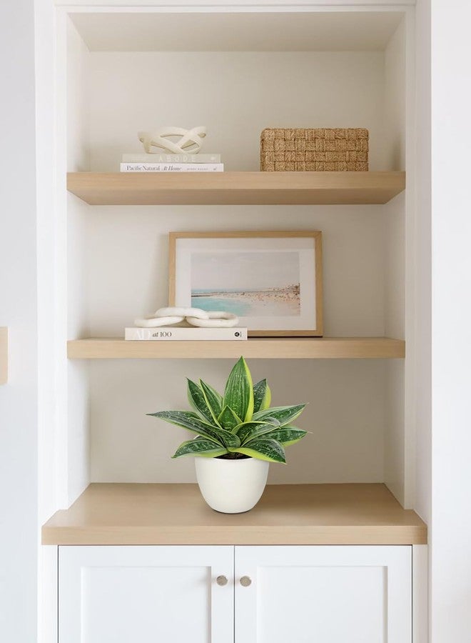 Hollyone Artificial Snake Plants 9" Faux Agave Succulent Plant Potted in White Pot Fake Sansevieria Aloe Tropical Plant for Desk Modern Office Home Bathroom Indoor Outdoor Decor - Image 5