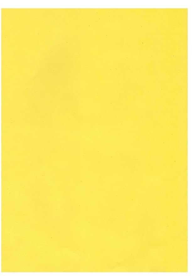 SEJASCOLLECTIONS | Pack of 10 | Vibrant, Smooth, A1, BIG / FULL Size, Chart / Pastel Sheets, Used in art and craft, collage, projects, posters etc. Plain / Unrulled, Size: 70x56 centimeters, 200 GSM thickness, Chart Sheets.( Set of 2 sheets each, Sky Blue, White, Light Pink, Yellow, Sea Green ) - Image 5