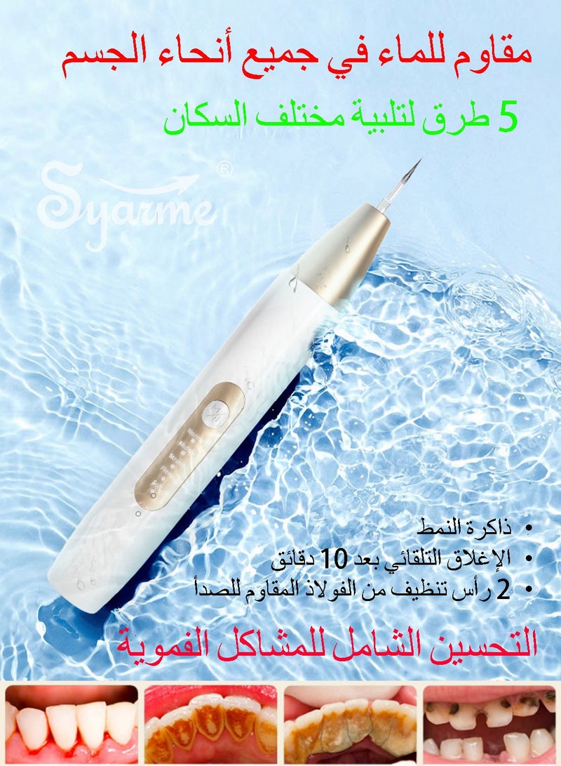 Syarme Plaque Remover for Teeth, Electric Tooth Cleaner Tartar Remover for Teeth with LED Light, 5 Modes Rechargeable Teeth Cleaning Kit with Dental Tools, 2 Replaceable Heads - White - Image 5