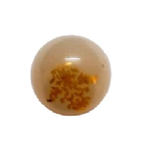 Bhavya Enterprises Small Size Sewing Shank Buttons Flat Top Colour Available 18mm White Pack of 100 - pzsku/Z5B1146F34BD2546CD855Z/45/1748244444/ed7087d3-f3ad-40f9-b946-98378cd29854