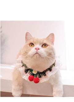 A.M Dog Or Cat Collar(Medium)  - Image 1