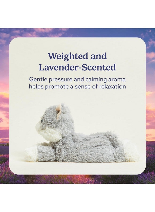warmies Microwavable & Weighted Stuffed Animals, Laying Down Gray Cat - Heated Stuffed Animal Plushie for Warmth & Comfort - Cute Soft Plush Toys for Boys, Girls, Babies & Toddlers - Image 3