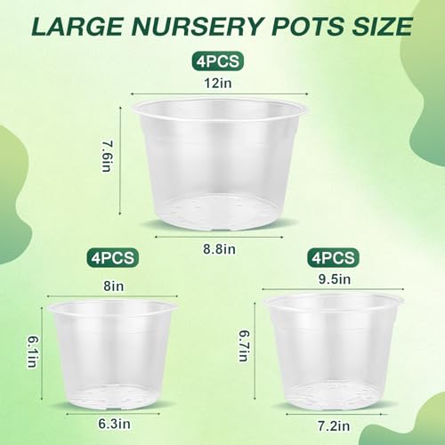 GUGEMEI 12/10/8 Inch Clear Nursery Pots with Drainage Holes, 12 Pack Flexible Large Plant Pots for Plants, Plastic Clear Pots for Seedling, Shrubs, Herbs, Flowers, Vegetables - Image 2