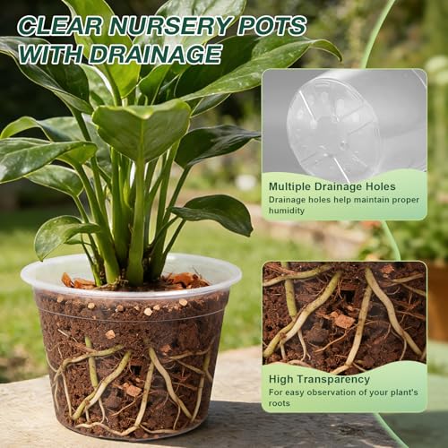 GUGEMEI 12/10/8 Inch Clear Nursery Pots with Drainage Holes, 12 Pack Flexible Large Plant Pots for Plants, Plastic Clear Pots for Seedling, Shrubs, Herbs, Flowers, Vegetables - Image 4