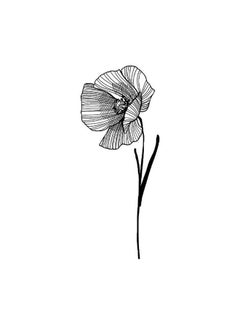 inkbox Inkbox Temporary Tattoos, Semi-Permanent Tattoo, One Premium Easy Long Lasting, Water-Resistant Temp Tattoo with For Now Ink - Lasts 1-2 Weeks, Grandiloquent, 5 x 2 in  - Image 3