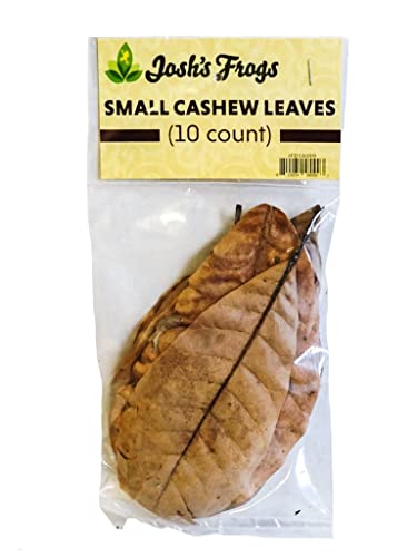 Josh's Frogs Small Cashew Leaf Litter (10 Count) - Image 1